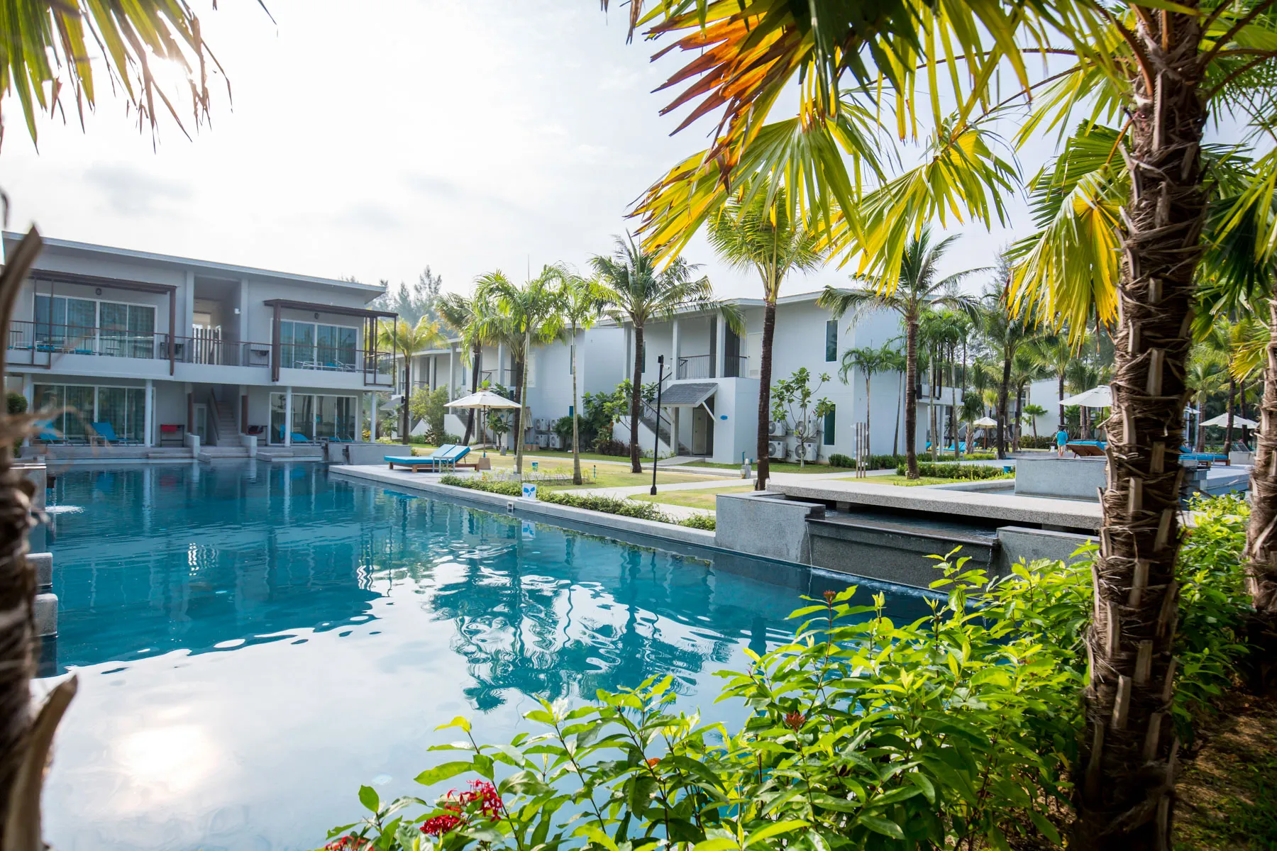 Brandy Pool 