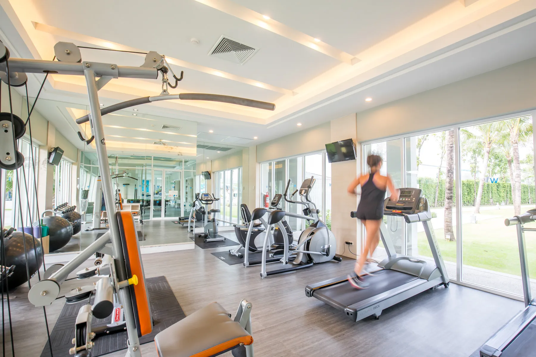 The Gym 