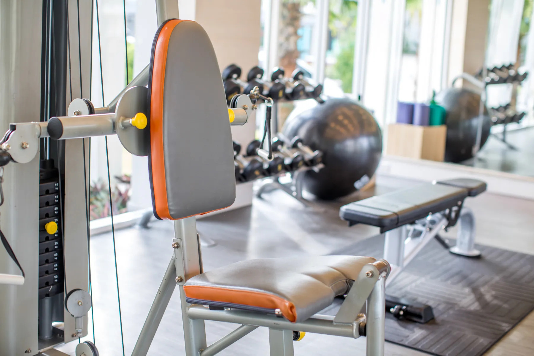 The Gym 