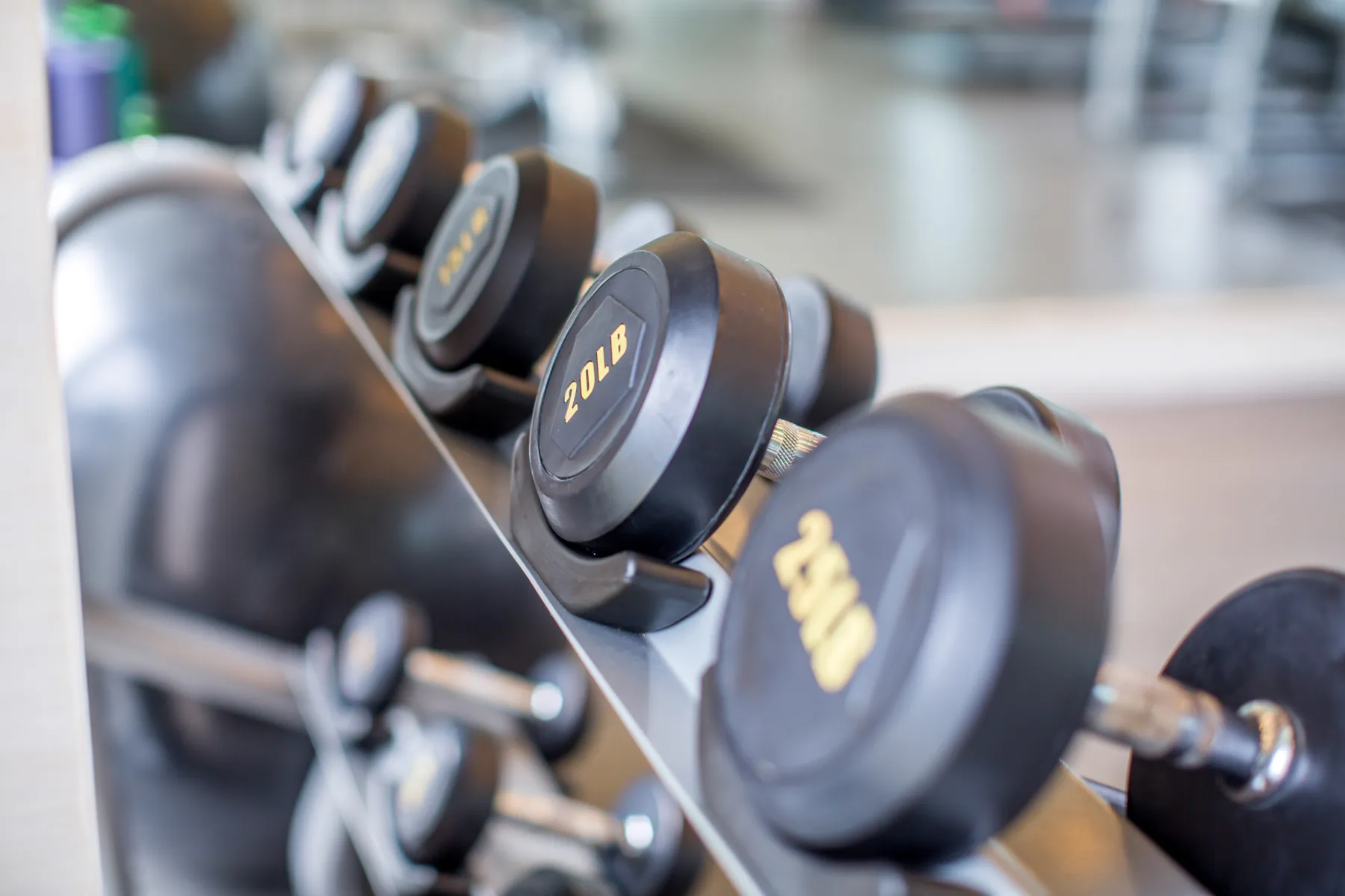 The Gym 